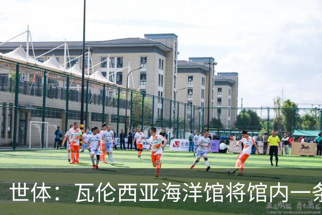 世体：瓦伦西亚海洋馆将馆内一条鲨鱼命名为费兰-托雷斯